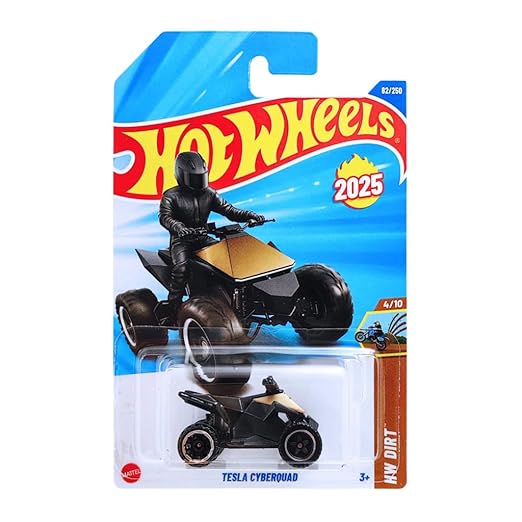 Hot Wheels 1:64 Scale | TESLA CYBER SQUAD | HW Dirt | Black | Case L&M | 82/250